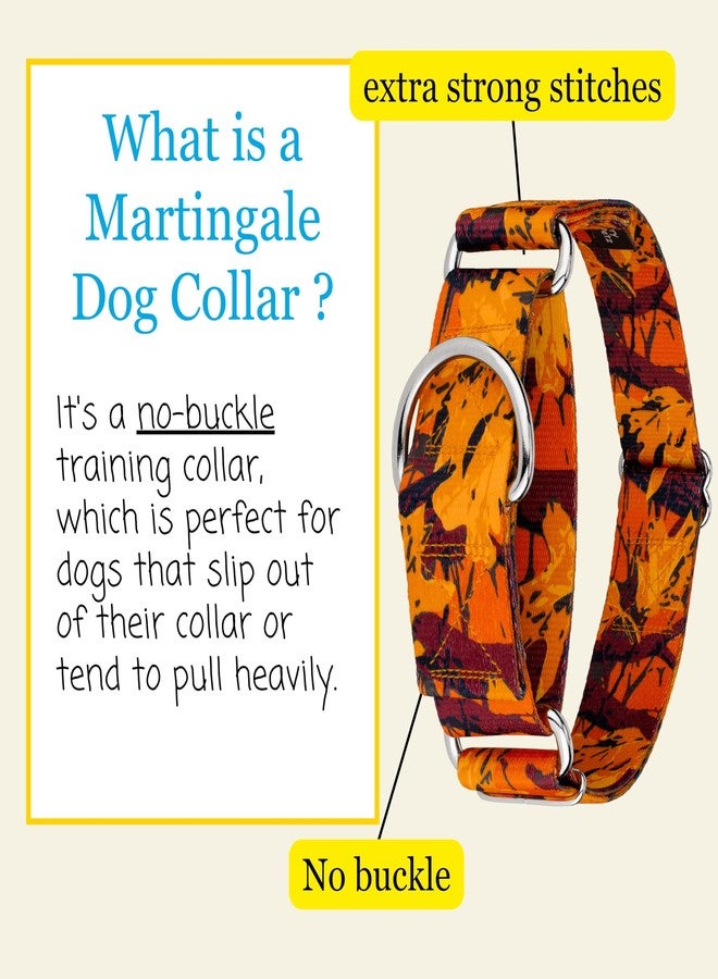 كانتري بروك ديزاين طوق مارتينجال عريض للكلاب من كونتري بروك بيتز - هوسفيت جونيور - مجموعة التمويه التي تتميز بتصاميم متينة (تمويه غروب الشمس البرتقالي، كبير) - Image 4